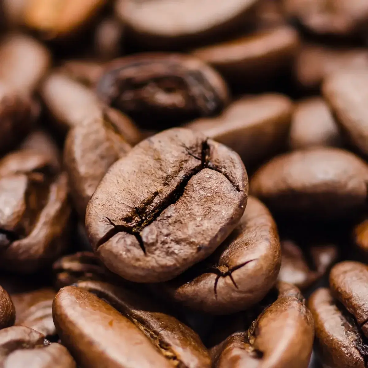 Macro close-up of a roasted coffee bean